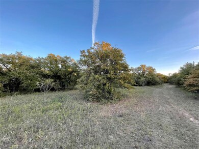 TBD E Lone Star Rd, Weatherford, TX 76088 - photo 5