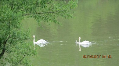 Every day overlooking beautiful nature