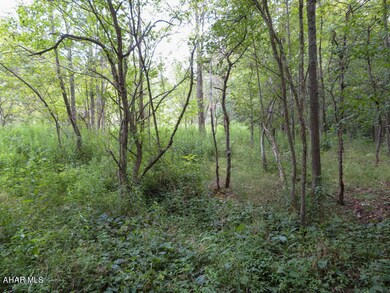 sale_images-3477