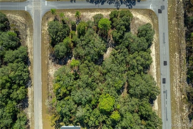 6320 N Matheson Dr, Pine Ridge, FL 34434 - photo 4