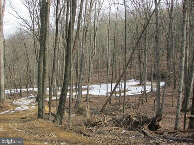 0 Cups Hollow, Sherman, WV - photo 2