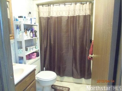 23506 Ginseng Rd, Long Prairie, MN 56347 - photo 7