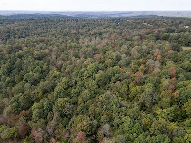 12958 N Highway 63, Hardy, AR 72542 - photo 2