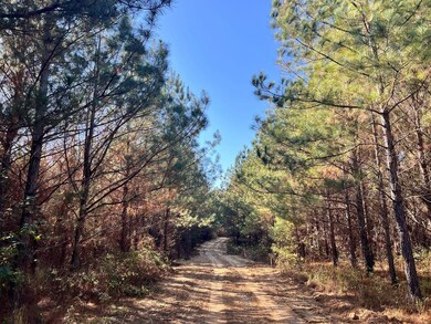 0 Rouse Rd, Weoka, AL 36092 - photo 4