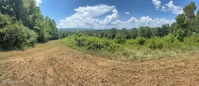 0 Old Harriman Hwy unit 1310037, Harriman, TN 37748 - photo 4