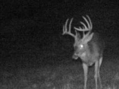 9969 Highway 23, Witter, AR 72776 - photo 3