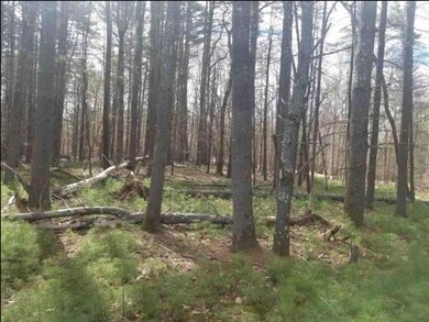 21B Lovejoy Sands Rd, Meredith, NH 03253 - photo 3