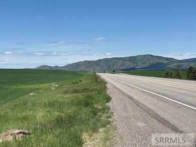 60.8 acr Swan Valley Hwy, Ririe, ID 83443 - photo 5