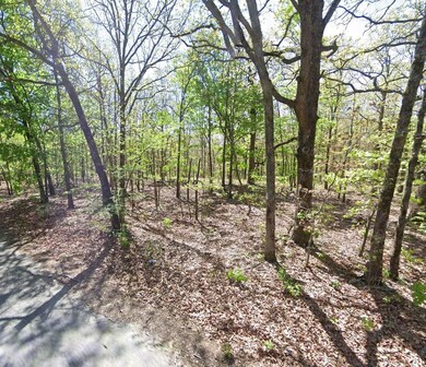 0 David Hall Blvd, Eucha, OK 74342 - photo 4