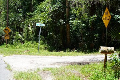 0 Bobcat Ln unit MFRO6298320, Osteen, FL 32738 - photo 3