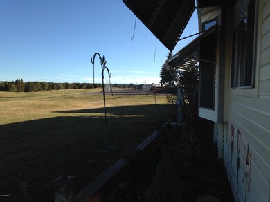 photo 2 (51)