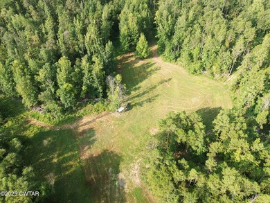 214 Arthur Byrd Rd, Pocahontas, TN 38061 - photo 2