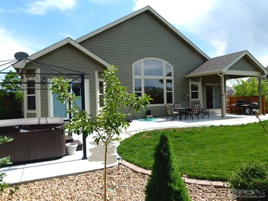 Back yard