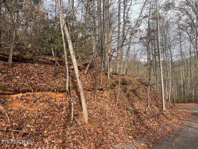 Par 202.03 Autumn Ln, Gatlinburg, TN 37738 - photo 2