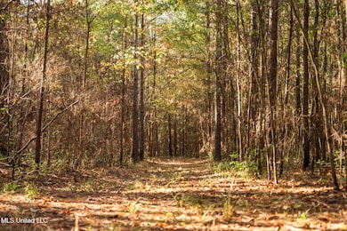 0 Lake View Golf Course Rd unit 4132339, Meridian, MS 39301 - photo 3