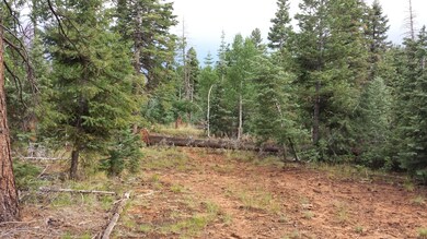 2875 N Smith and Wesson Loop, Duck Creek Village, UT 84762 - photo 7