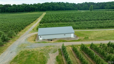 6258 Hill Rd, Sodus, NY 14551 - photo 7