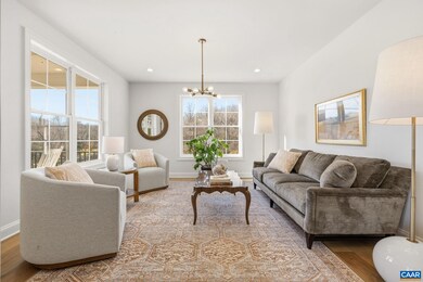 3550 Dick Woods Rd, Charlottesville, VA 22903 - photo 6