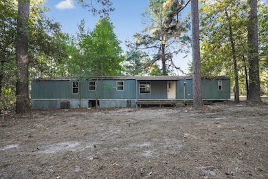 1 Ellis Ct, Coldspring, TX 77331 - photo 4