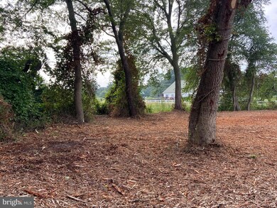 0 Tyaskin Rd unit MDWC2010254, Tyaskin, MD 21865 - photo 3