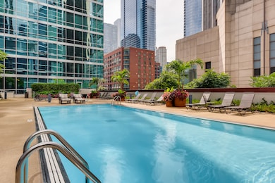 ParkView Condominiums unit 2101, Chicago, IL 60611 - photo 5