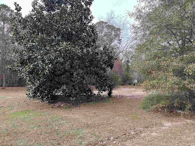 2883 E Highway 19, Conway, SC 29526 - photo 5