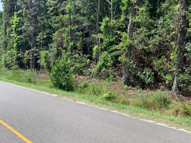 400 Airport Dr, Moncks Corner, SC 29461 - photo 5