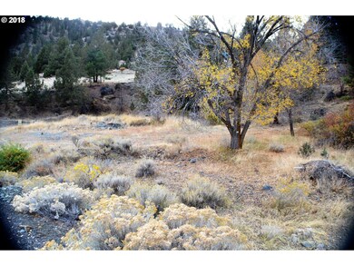 TL 1700 Adams Dr, Canyon City, OR 97820 - photo 3