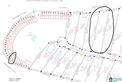 Lot 4 Bluegrass Ln unit 4, Jasper, AL 35503 - photo 3