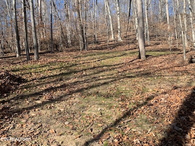 0 Mountain Shores Rd, New Tazewell, TN 37825 - photo 4