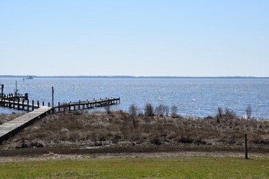 318 Pine Tree Path, Bath, NC 27808 - photo 5