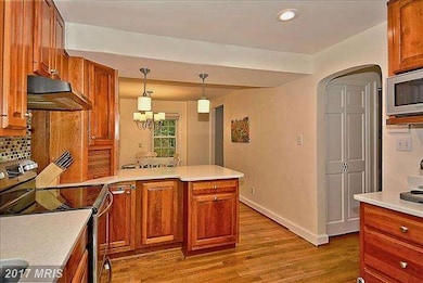 503 Elm Ave, Takoma Park, MD 20912 - photo 5