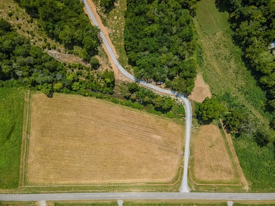 2970 Springplace Rd, Belfast, TN 37019 - photo 5