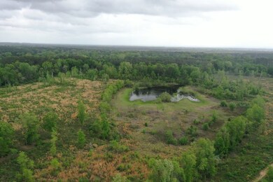 0 Hwy 438 Hwy unit LotWP001 23134119, Angie, LA 70426 - photo 2