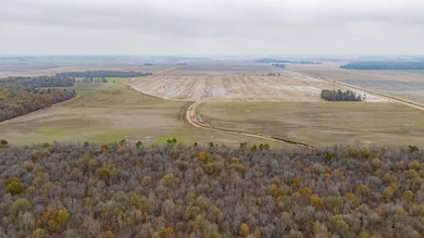 1 Mopac Rd, Brinkley, AR 72021 - photo 4