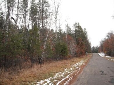 28747 Eastman Rd, Danbury, WI 54830 - photo 3