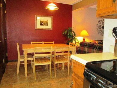 1565 Shadow Run Frontage unit B 203, Steamboat Springs, CO 80487 - photo 7