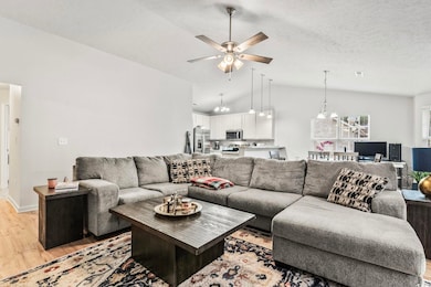 Living room featuring lofted ceiling, ceiling fan 