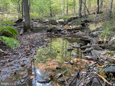 Lot 15 Jermikey Ct, Hedgesville, WV 25427 - photo 2