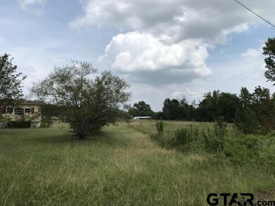 10638 County Road 210, Tyler, TX 75707 - photo 3