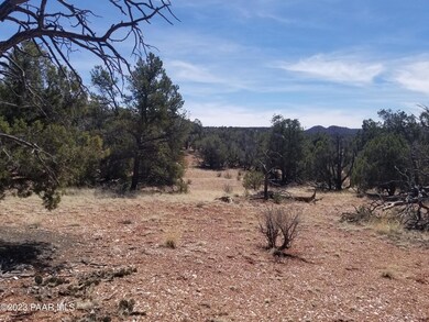 269a Off Cone Rd, Ash Fork, AZ 86320 - photo 7