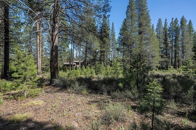 11841 Bottcher Loop, Truckee, CA 96161 - photo 4
