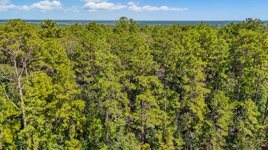 0000 County Road 4926, Fred, TX 77616 - photo 6