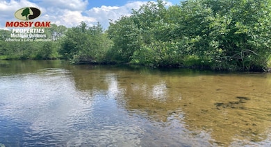 V L 56th Ave, Paw Paw, MI 49079 - photo 4