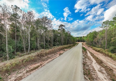 134 Splendid Rd, New Waverly, TX 77358 - photo 7