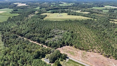 Aerial overview of property's location with a forest