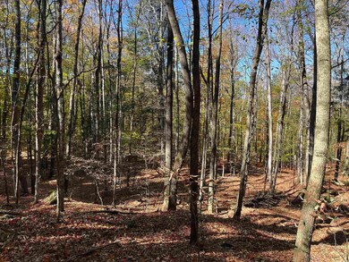 0 Leonard Rd, Pomfret, VT 05068 - photo 7