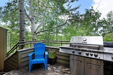 100 N 8th St unit 22, Aspen, CO 81611 - photo 7