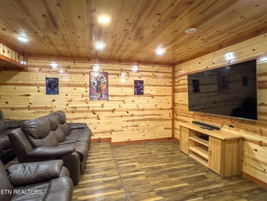theater room 2