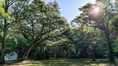 0 Norris Dr, Walterboro, SC 29475 - photo 7